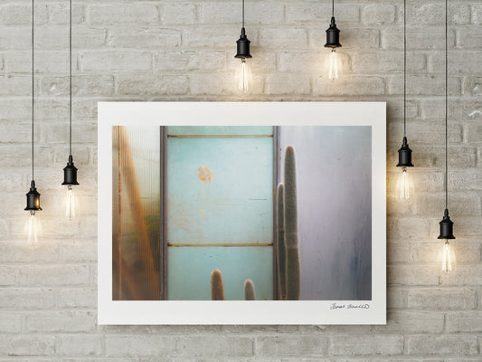 Don't Throw Stones 4