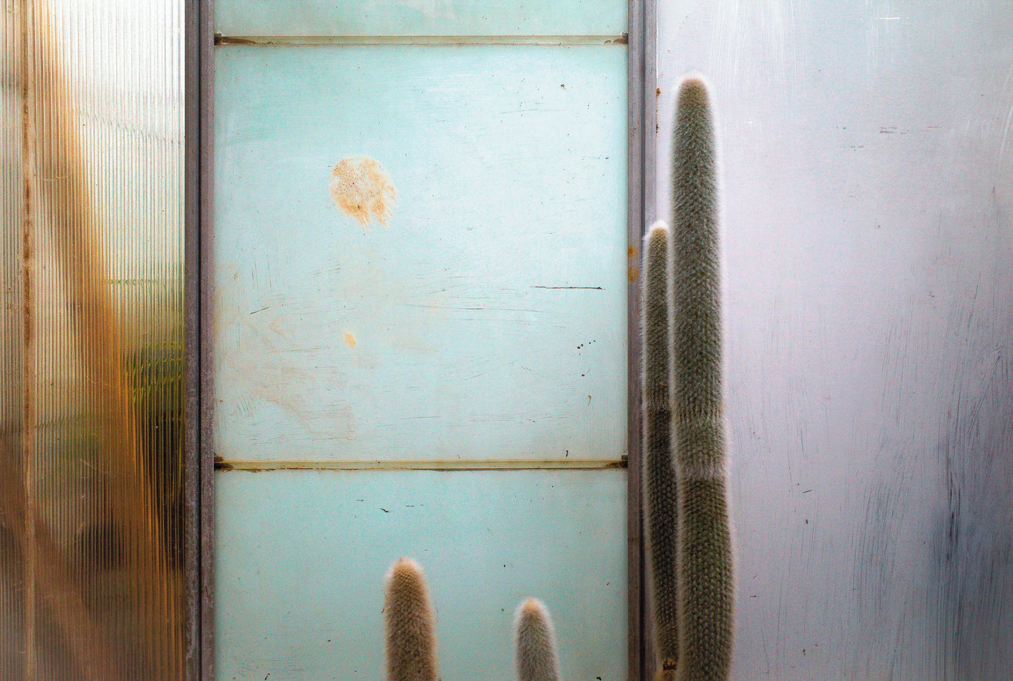 Don't Throw Stones 4